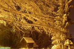 Winterwald_01