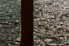 See_01